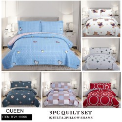 QUEEN SIZE 3PC SET PRINTING AB SURFACE SIX MIXED QUILT 6PC/CS